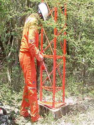 PEOLES10 (2448 x 3264)