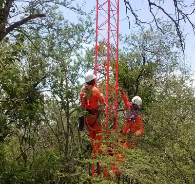 PEOLES6 (3448 x 3264)